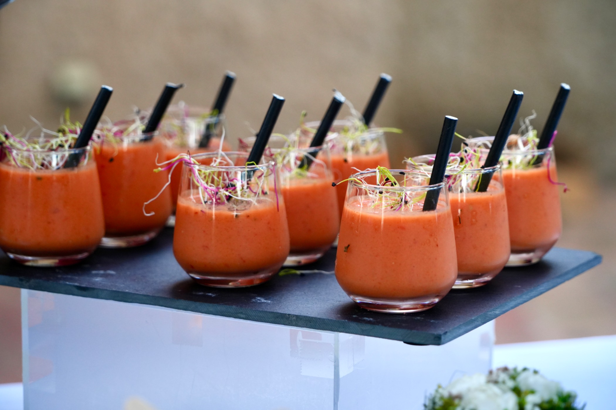 Wil & Ludi - JPEG (2322).jpeg