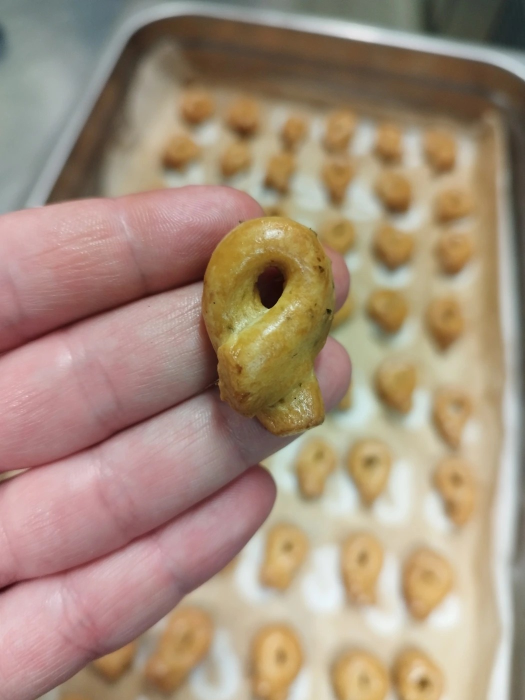 inbound3285477971331947537.jpg inbound3285477971331947537.jpg