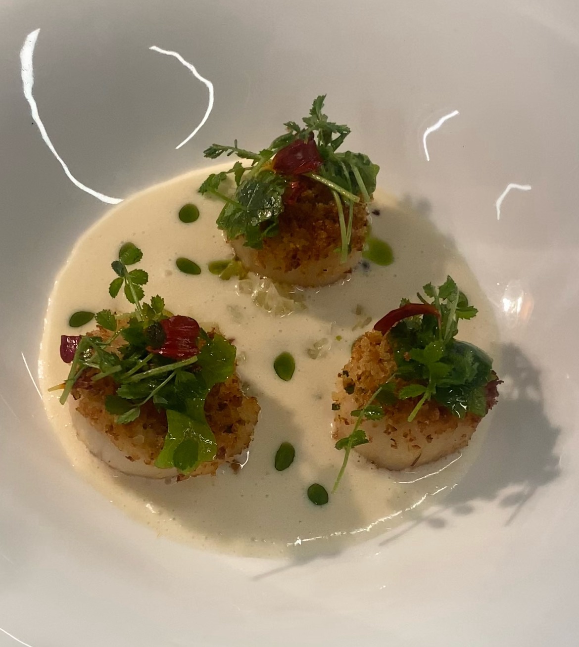 IMG_2F3BA8550CB8-1.jpeg IMG_2F3BA8550CB8-1.jpeg