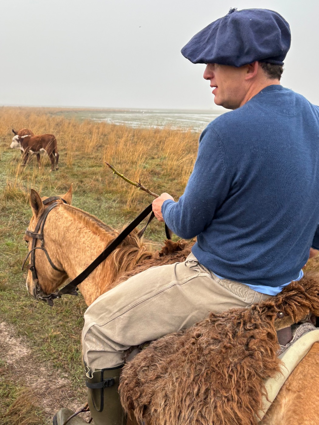 IMG_4933.jpeg IMG_4933.jpeg