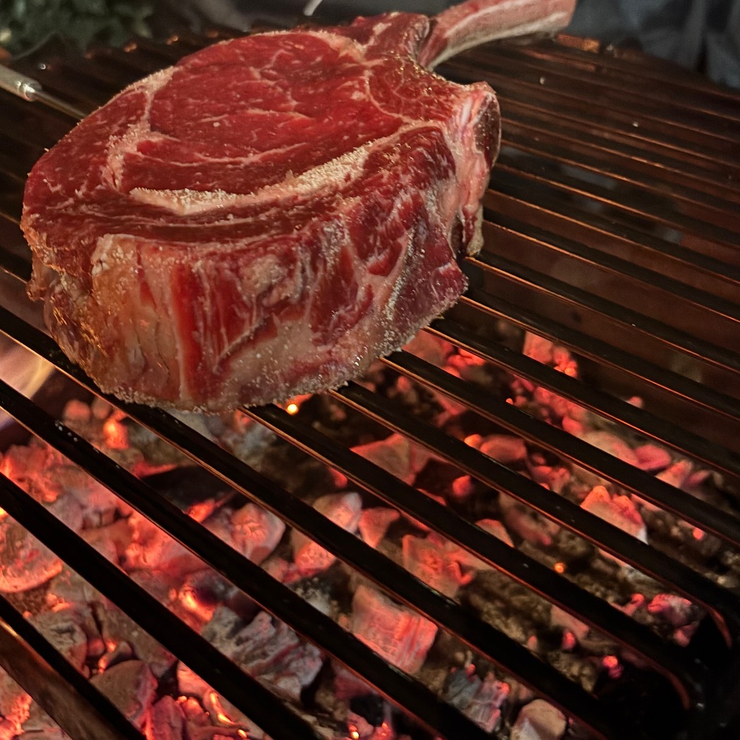 IMG_9110.jpeg IMG_9110.jpeg