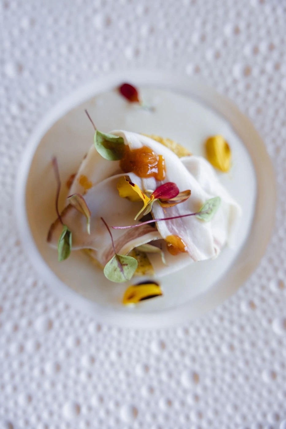 inbound7285163587211035021.jpg inbound7285163587211035021.jpg