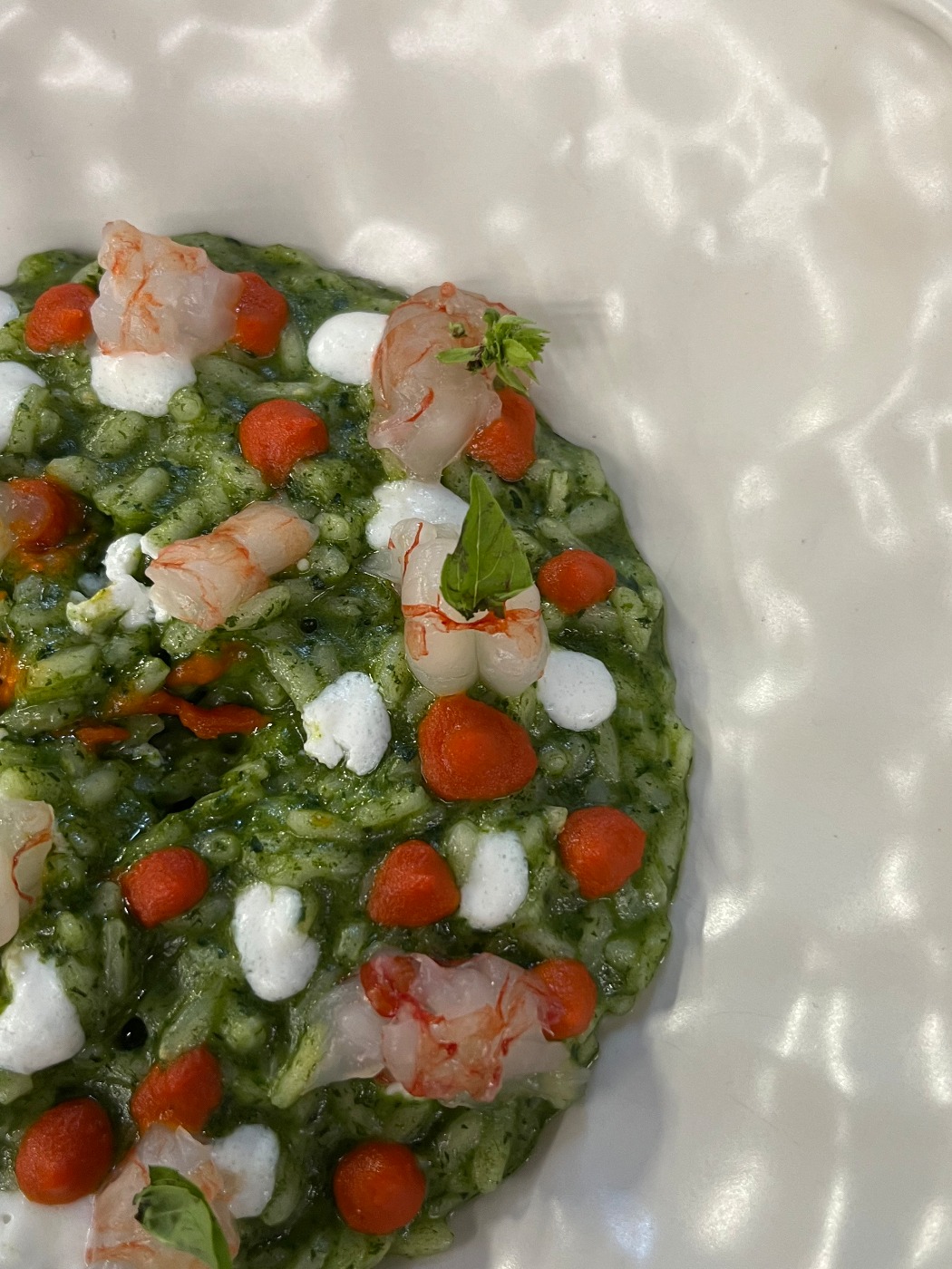 IMG_2167.jpeg IMG_2167.jpeg