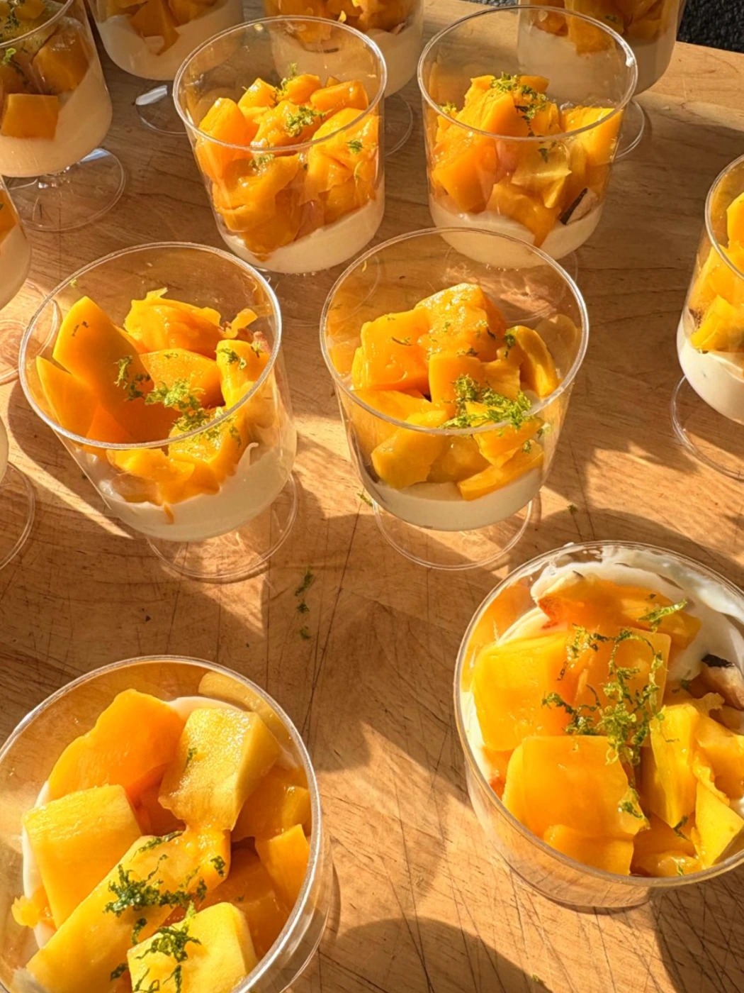 WhatsApp Image 2025-11-21 at 14.15.11.jpeg