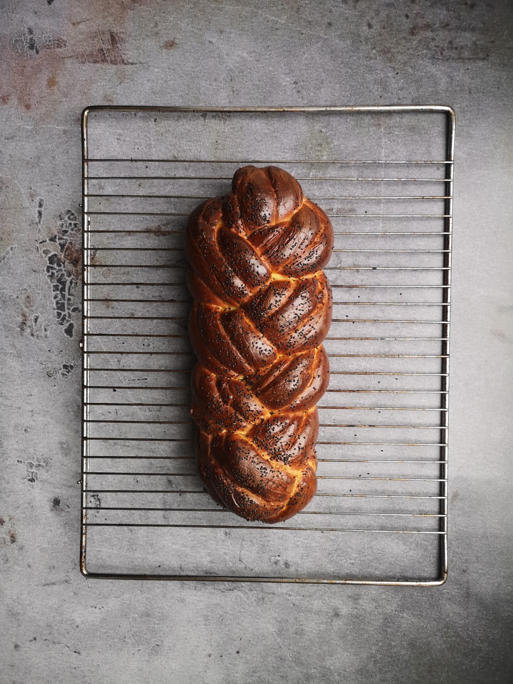 2021-03-20-111332000.jpeg 2021-03-20-111332000.jpeg