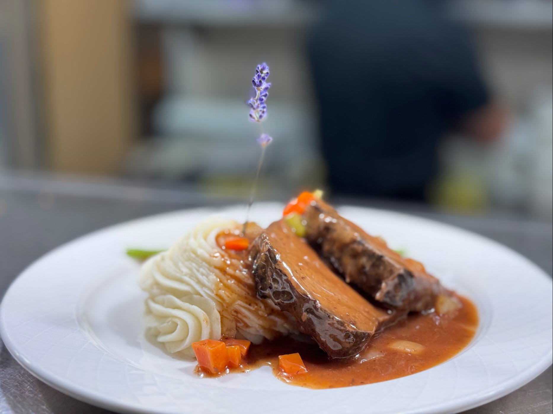 IMG_2544.jpeg IMG_2544.jpeg