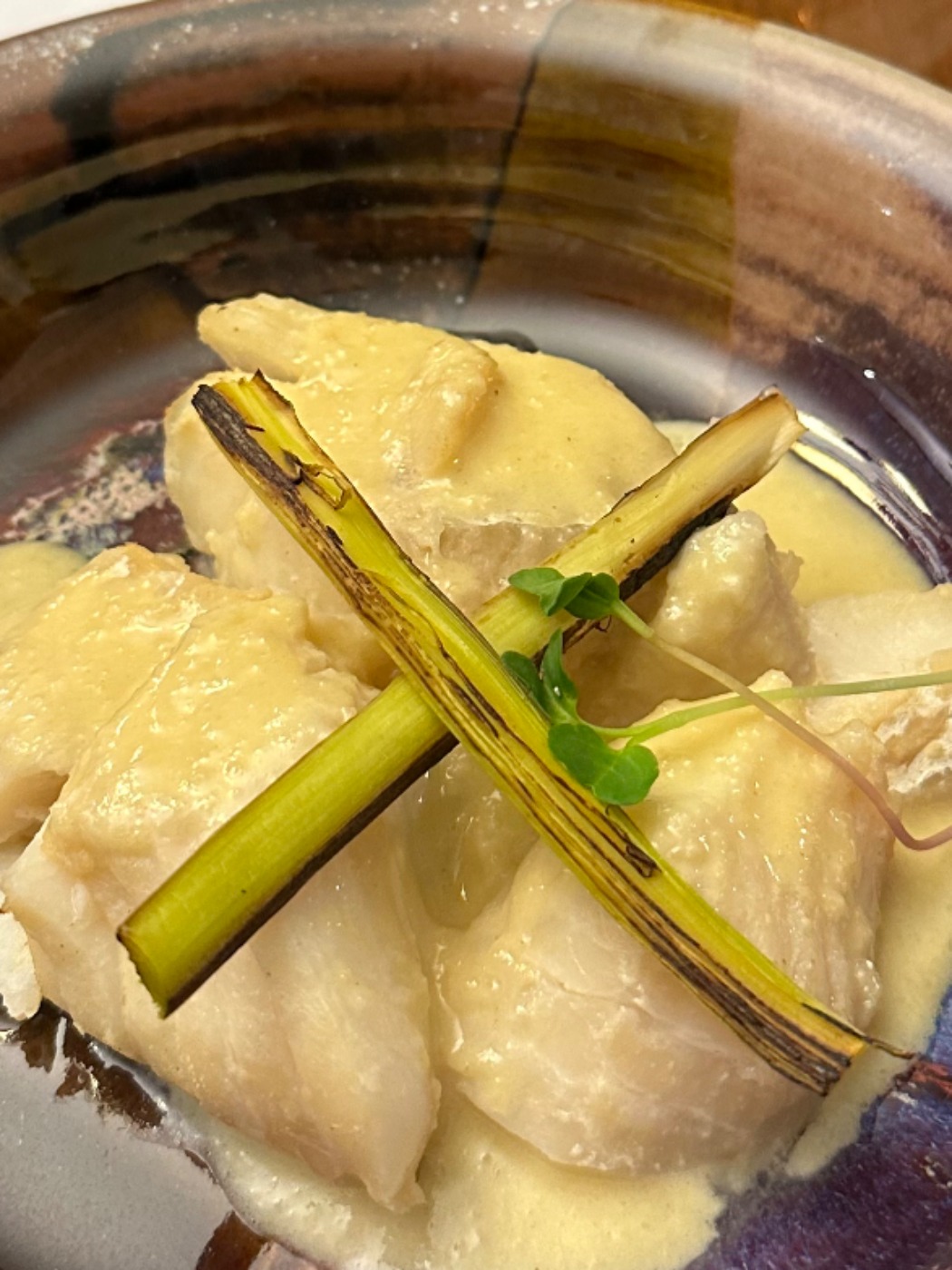 IMG_1448.jpeg IMG_1448.jpeg