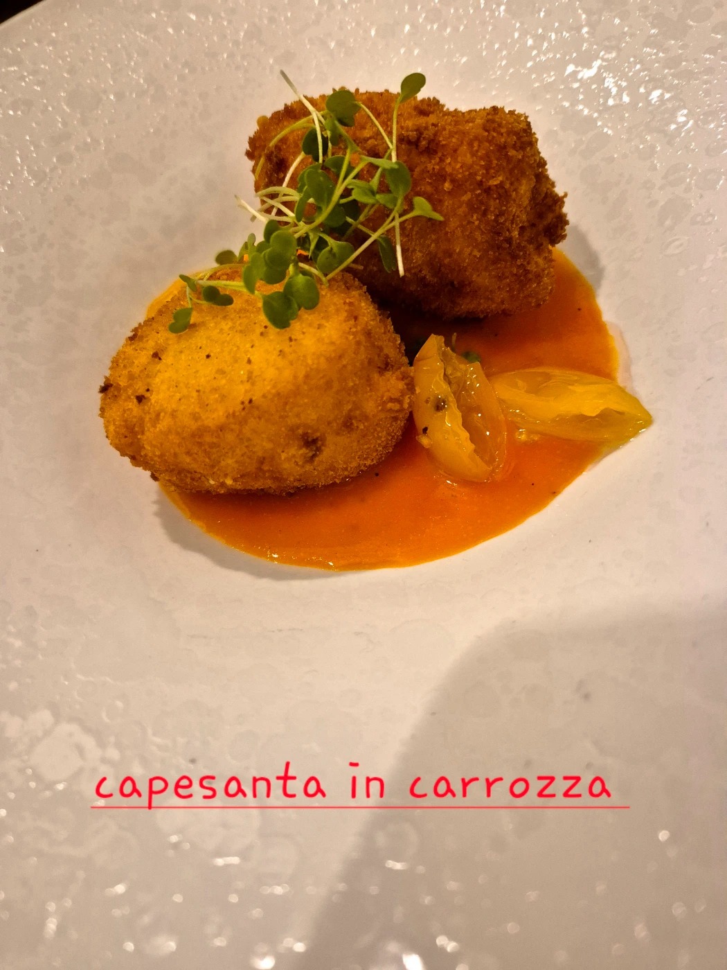 20241219_195327.jpg 20241219_195327.jpg