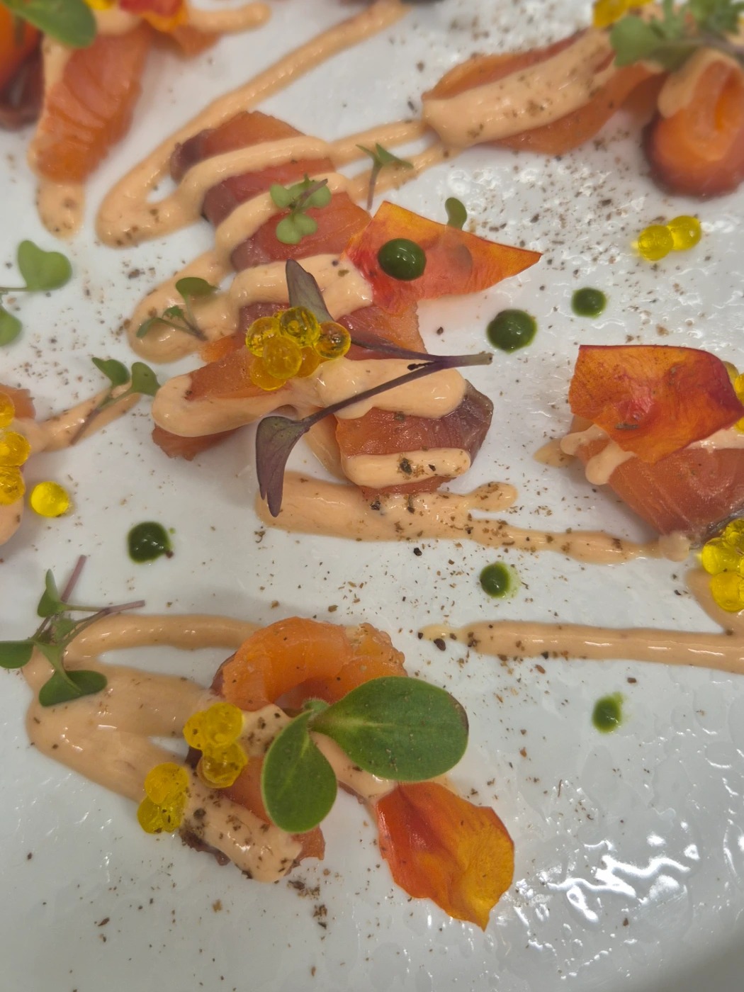 20250716_204144.jpg 20250716_204144.jpg