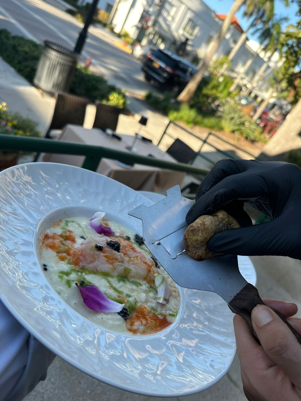 39147f77-b629-4c75-8920-ebffa769ccf6.jpeg 39147f77-b629-4c75-8920-ebffa769ccf6.jpeg