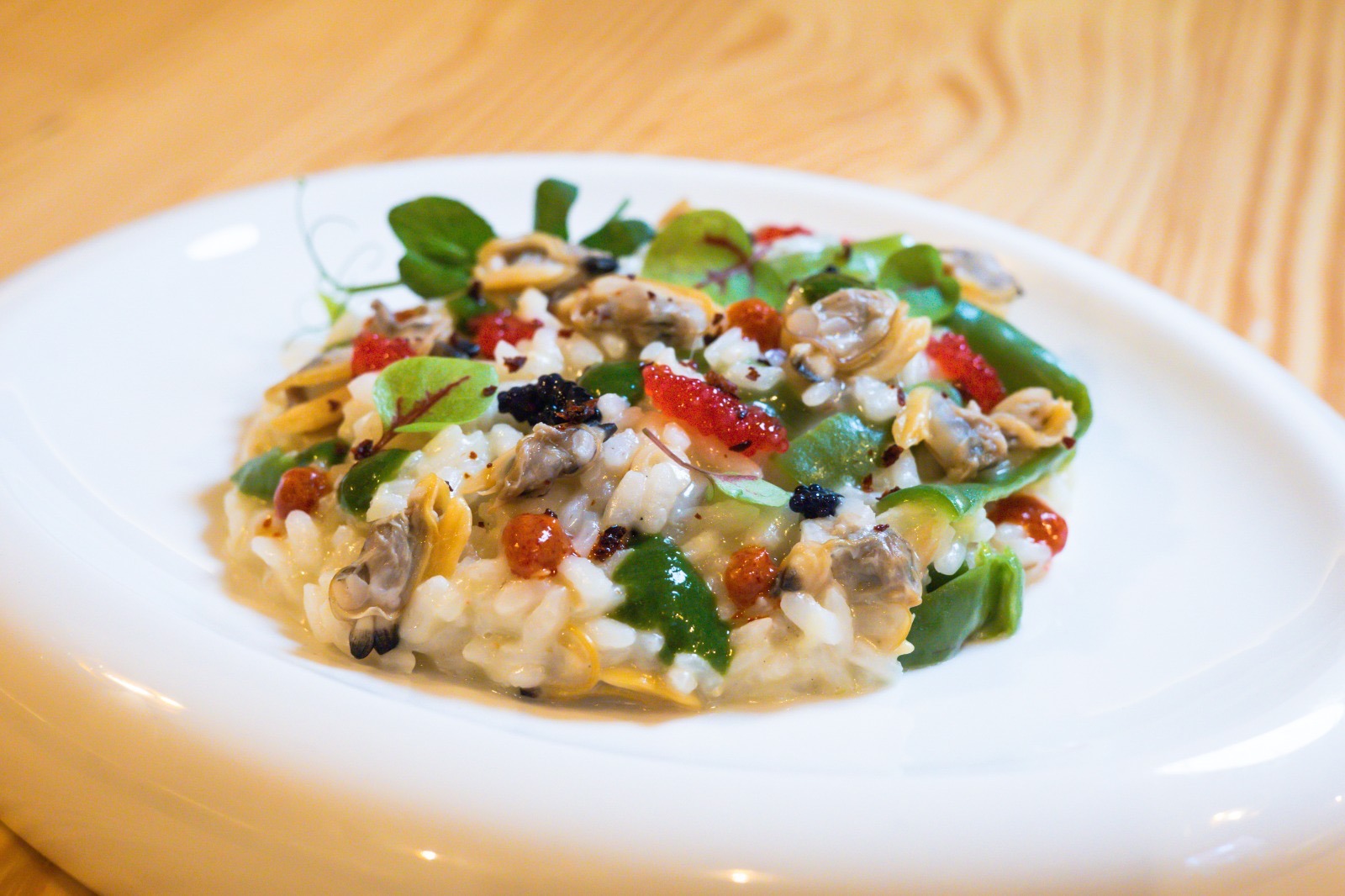 8330e655-4949-4a03-9a6e-748ef751f23e.jpeg 8330e655-4949-4a03-9a6e-748ef751f23e.jpeg