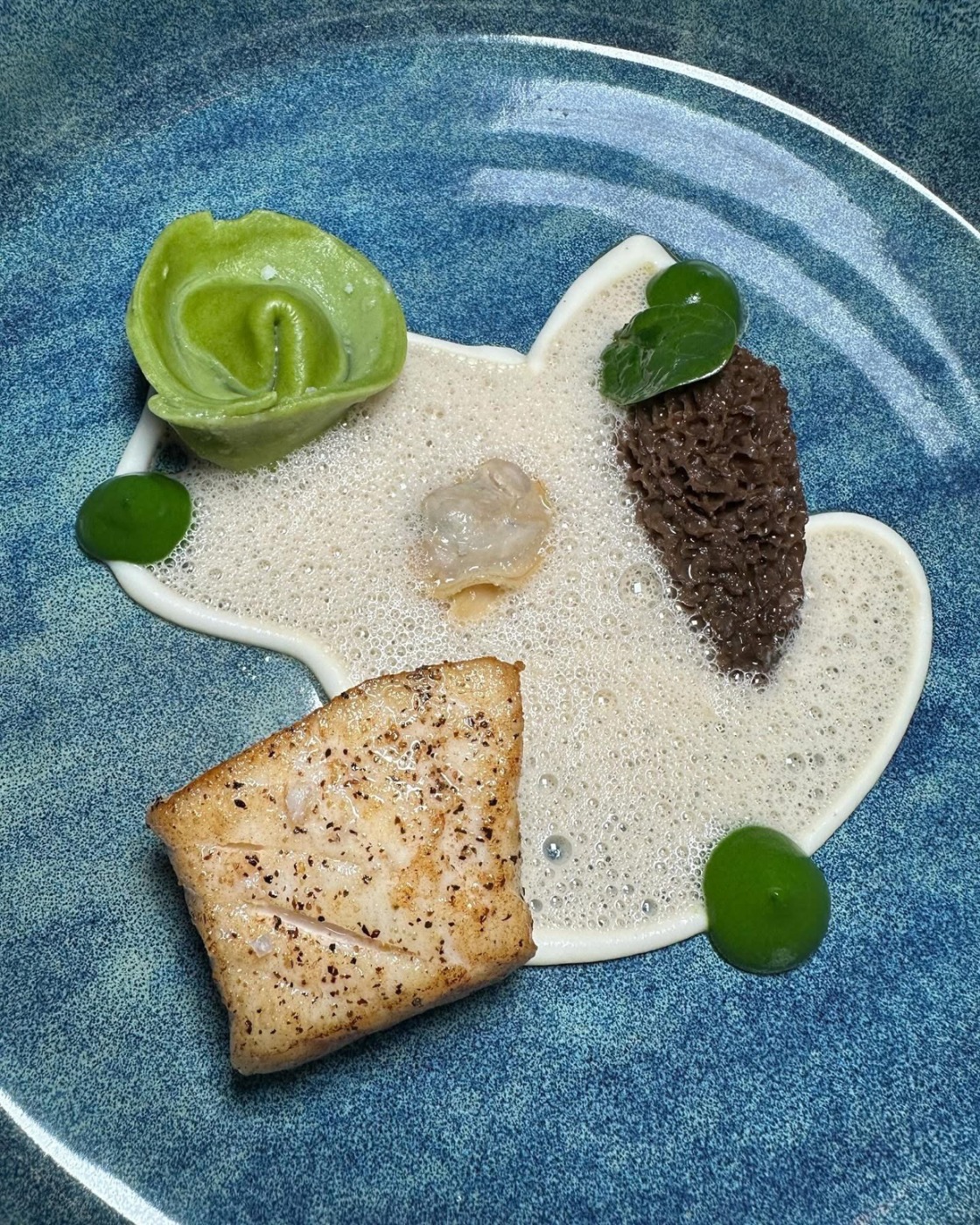 IMG_4328.jpeg IMG_4328.jpeg