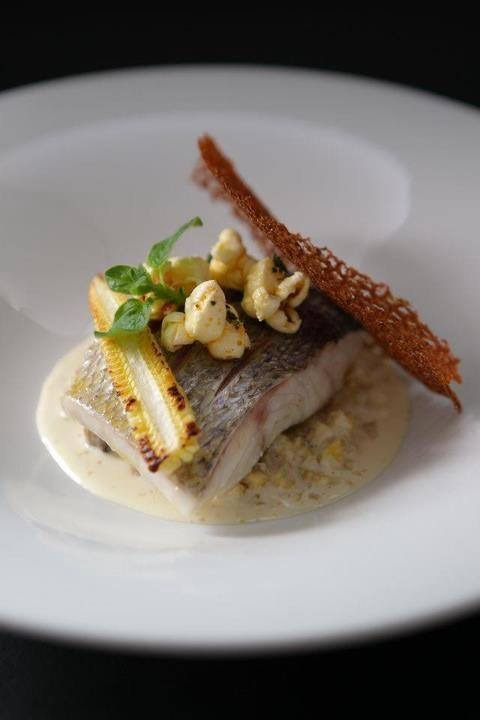 465643208_28463580819907455_2101668438304326150_n.jpg 465643208_28463580819907455_2101668438304326150_n.jpg