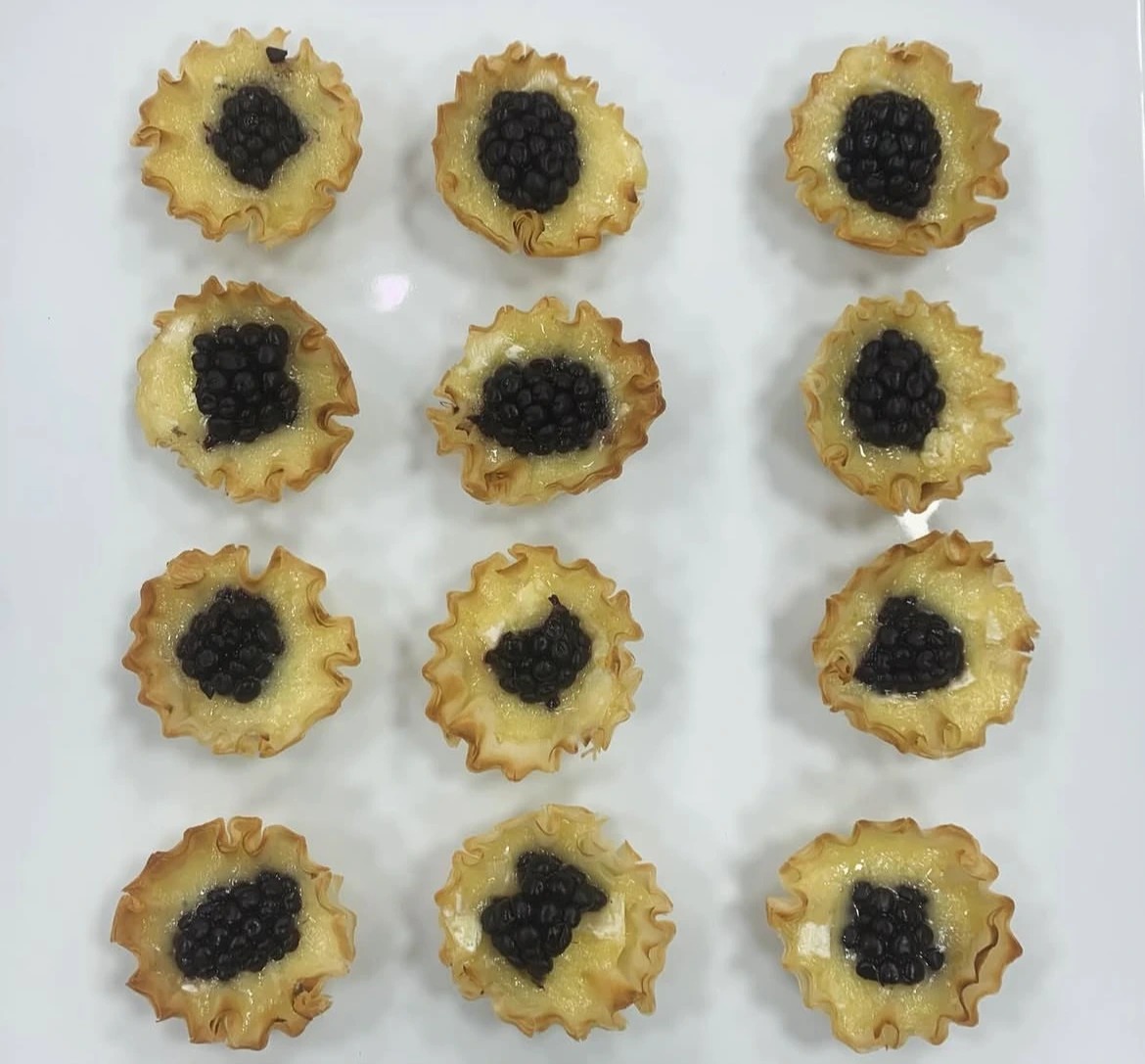 IMG_E9477D5E0D04-1.jpeg IMG_E9477D5E0D04-1.jpeg