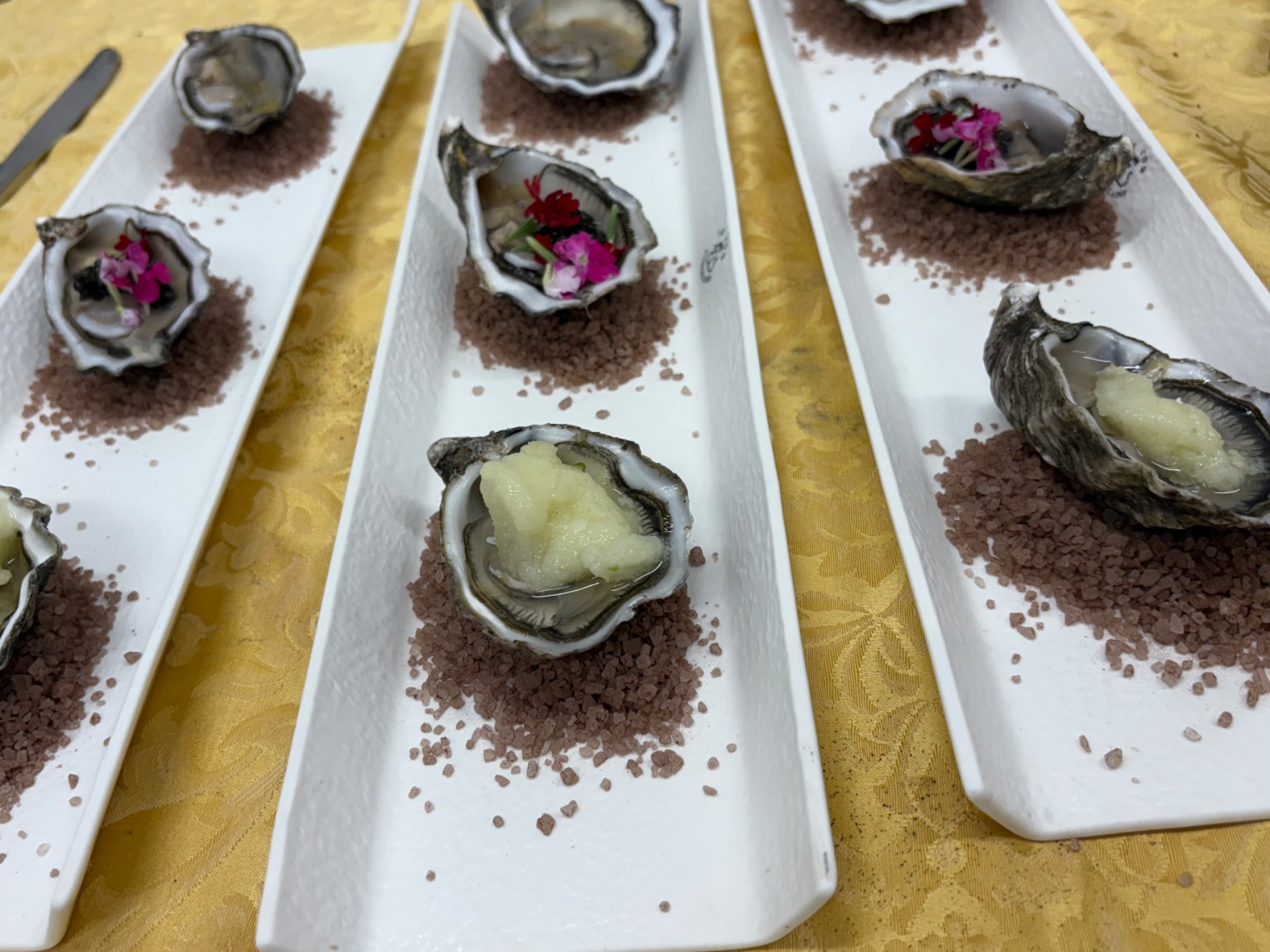 IMG_2527.jpeg IMG_2527.jpeg