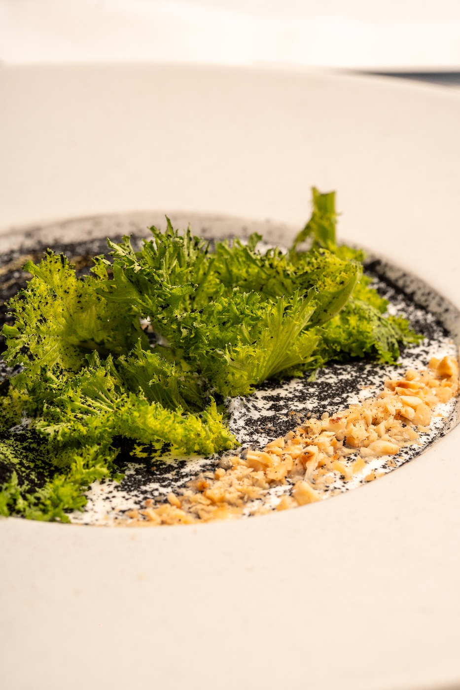 IMG_2388.jpeg IMG_2388.jpeg