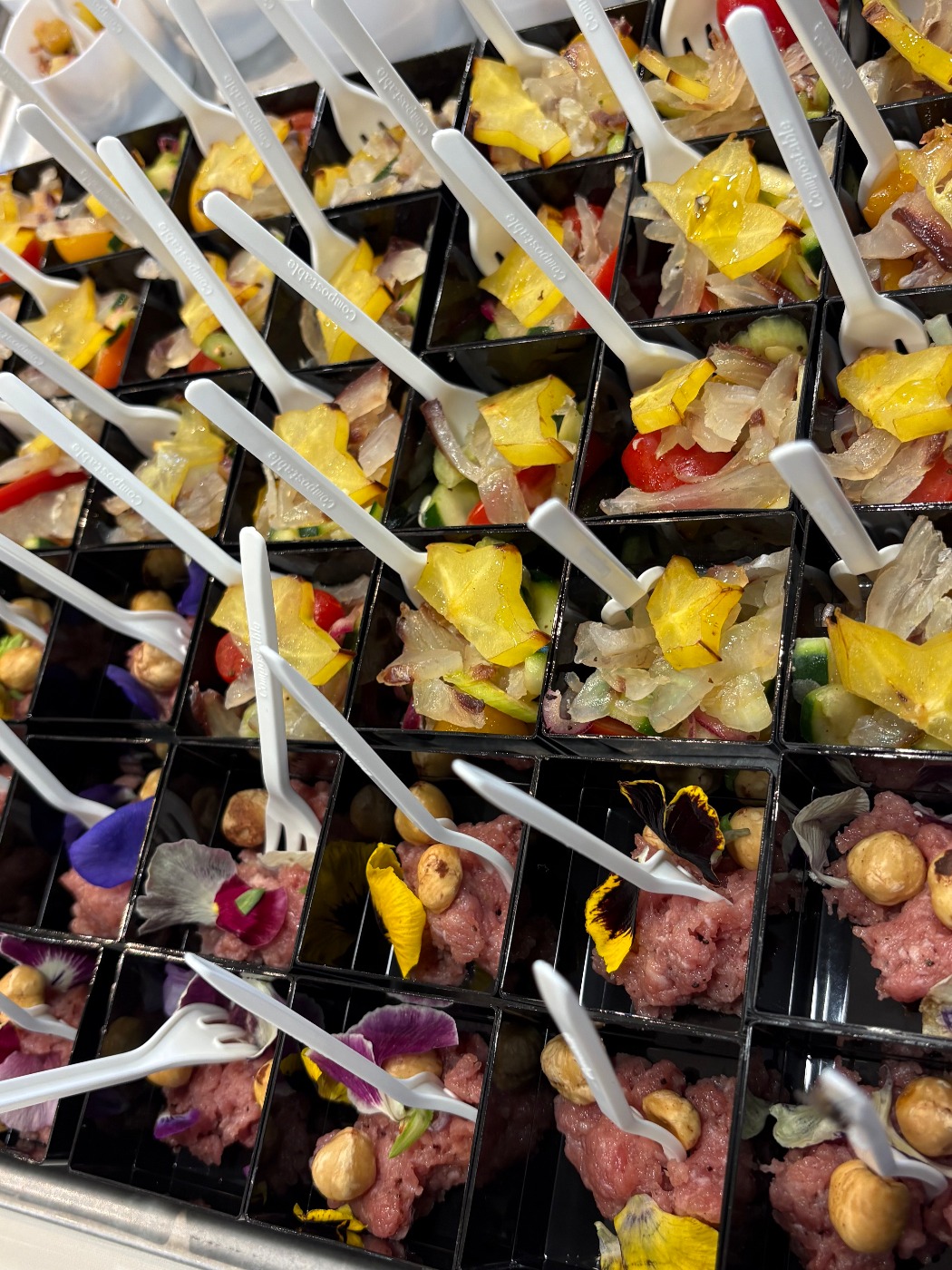 IMG_2747.jpeg IMG_2747.jpeg