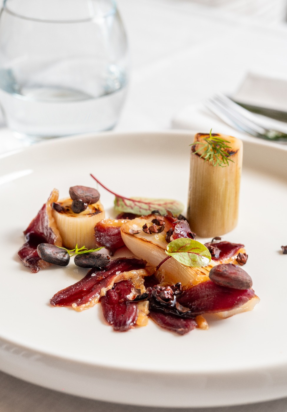 IMG_2395.jpeg IMG_2395.jpeg