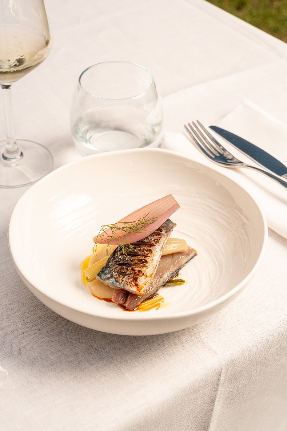 IMG_2383.jpeg IMG_2383.jpeg