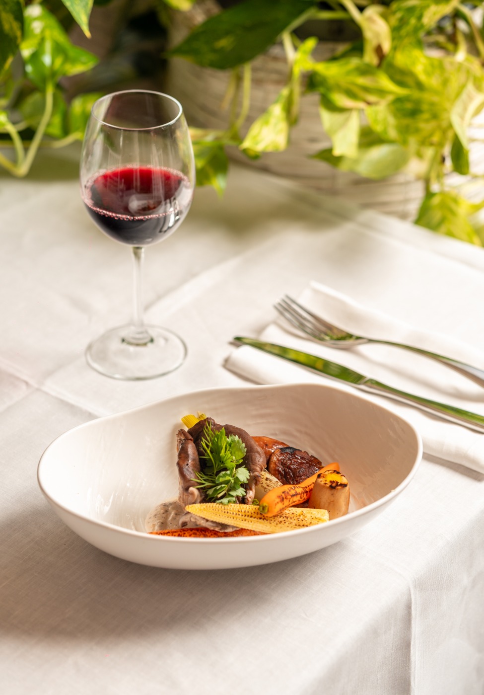 IMG_2399.jpeg IMG_2399.jpeg