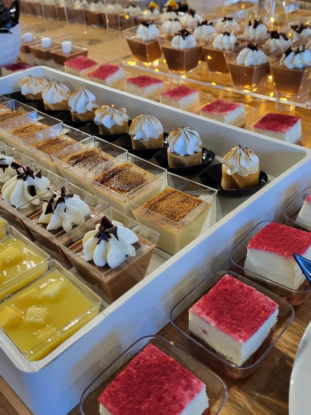 20230712_112025 (1).jpg