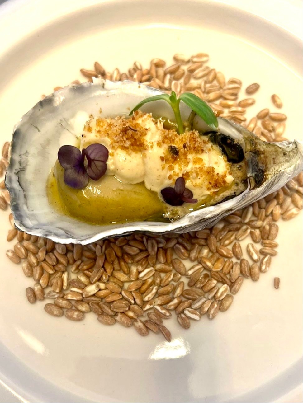 D66E9278-D701-455E-94D0-A3B057BE339D.jpeg D66E9278-D701-455E-94D0-A3B057BE339D.jpeg