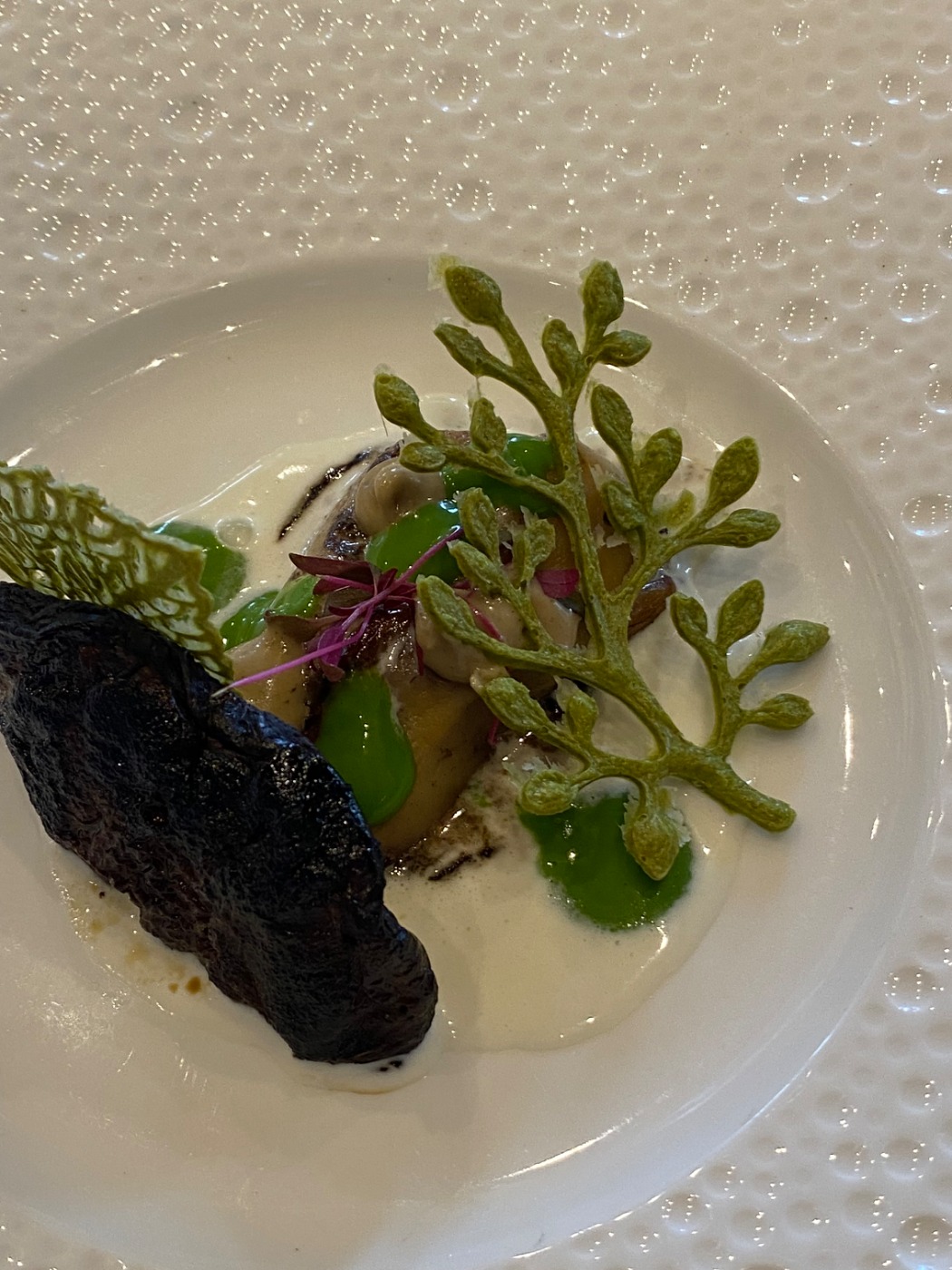 IMG_3711.jpeg IMG_3711.jpeg