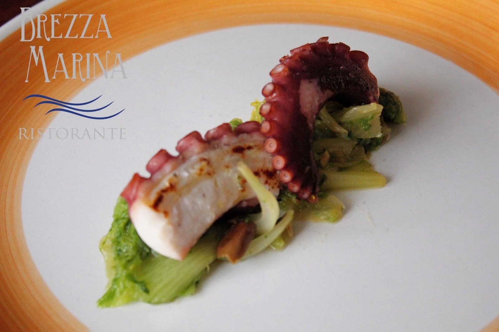 04102c52-ebf4-416e-8619-d663b2479c7c.jpg 04102c52-ebf4-416e-8619-d663b2479c7c.jpg