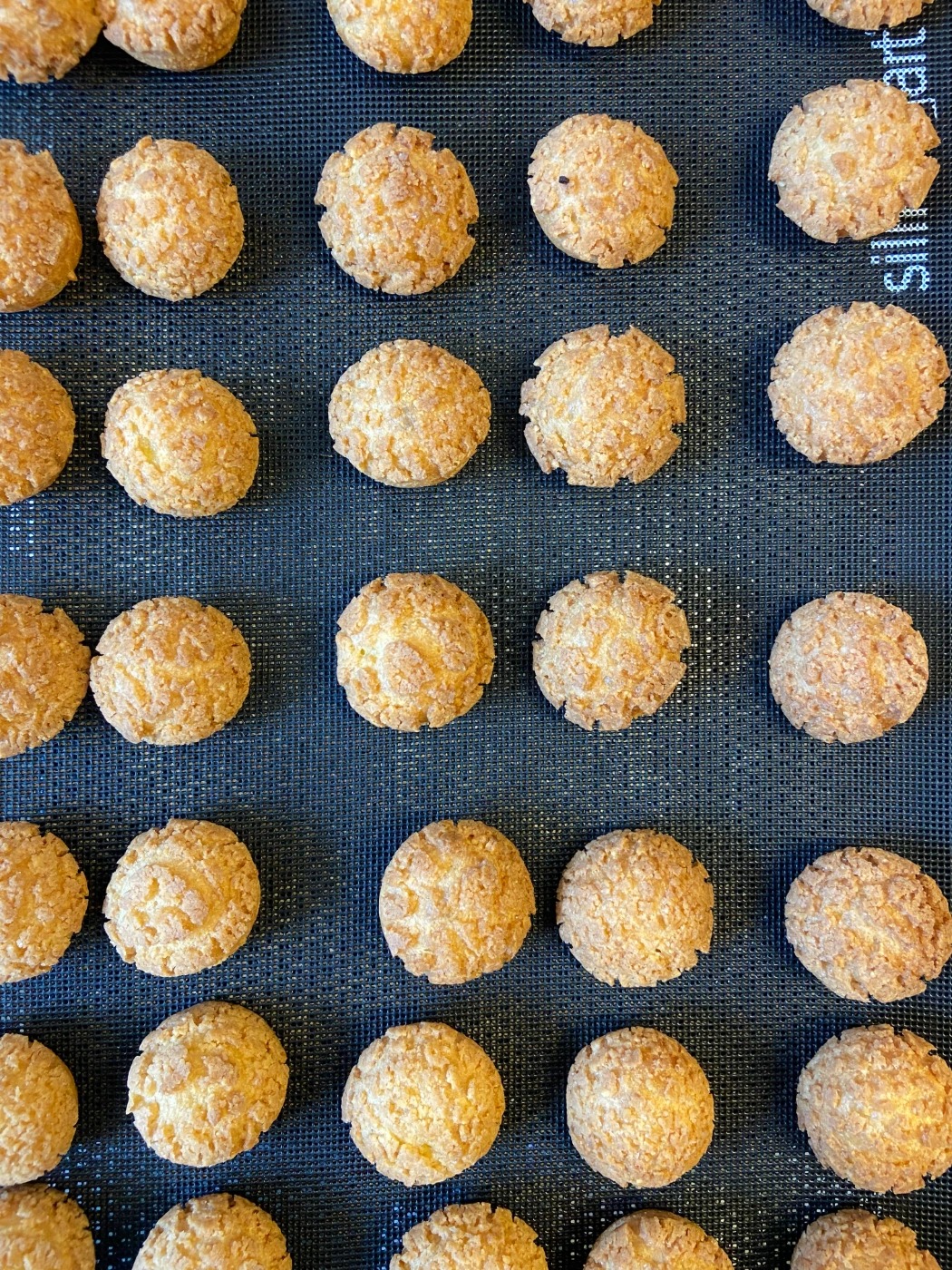 IMG_2461.jpg IMG_2461.jpg