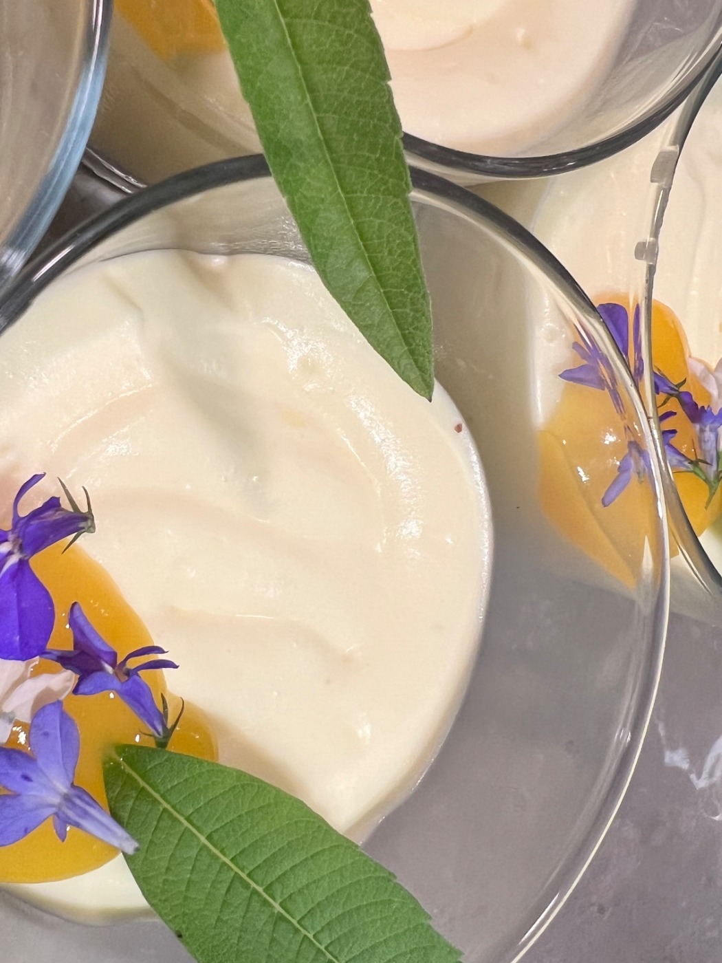 IMG_2437.jpeg IMG_2437.jpeg