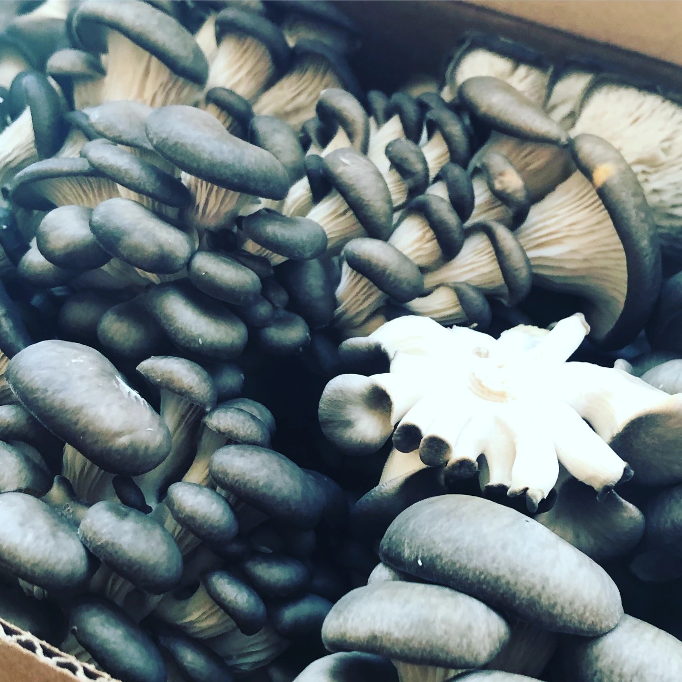 KGWH3285.jpeg KGWH3285.jpeg