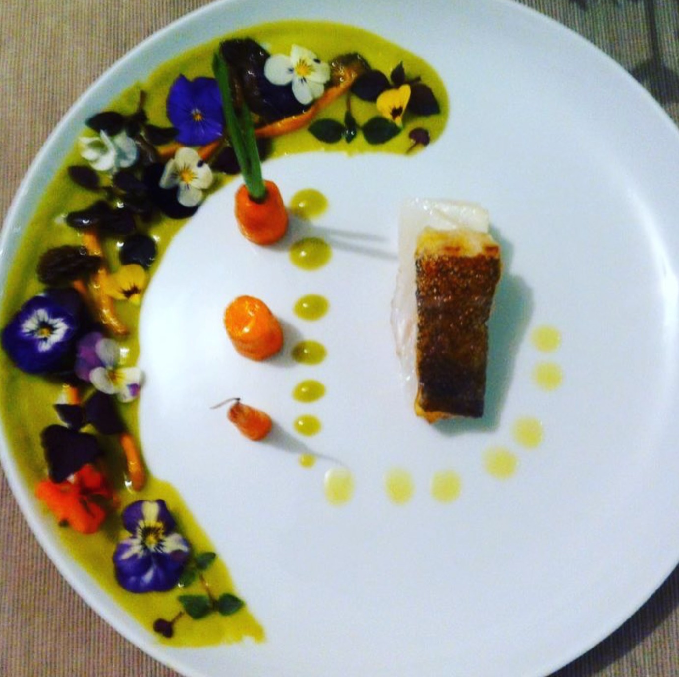 Baccala con crema di verdura e funghi.png Baccala con crema di verdura e funghi.png