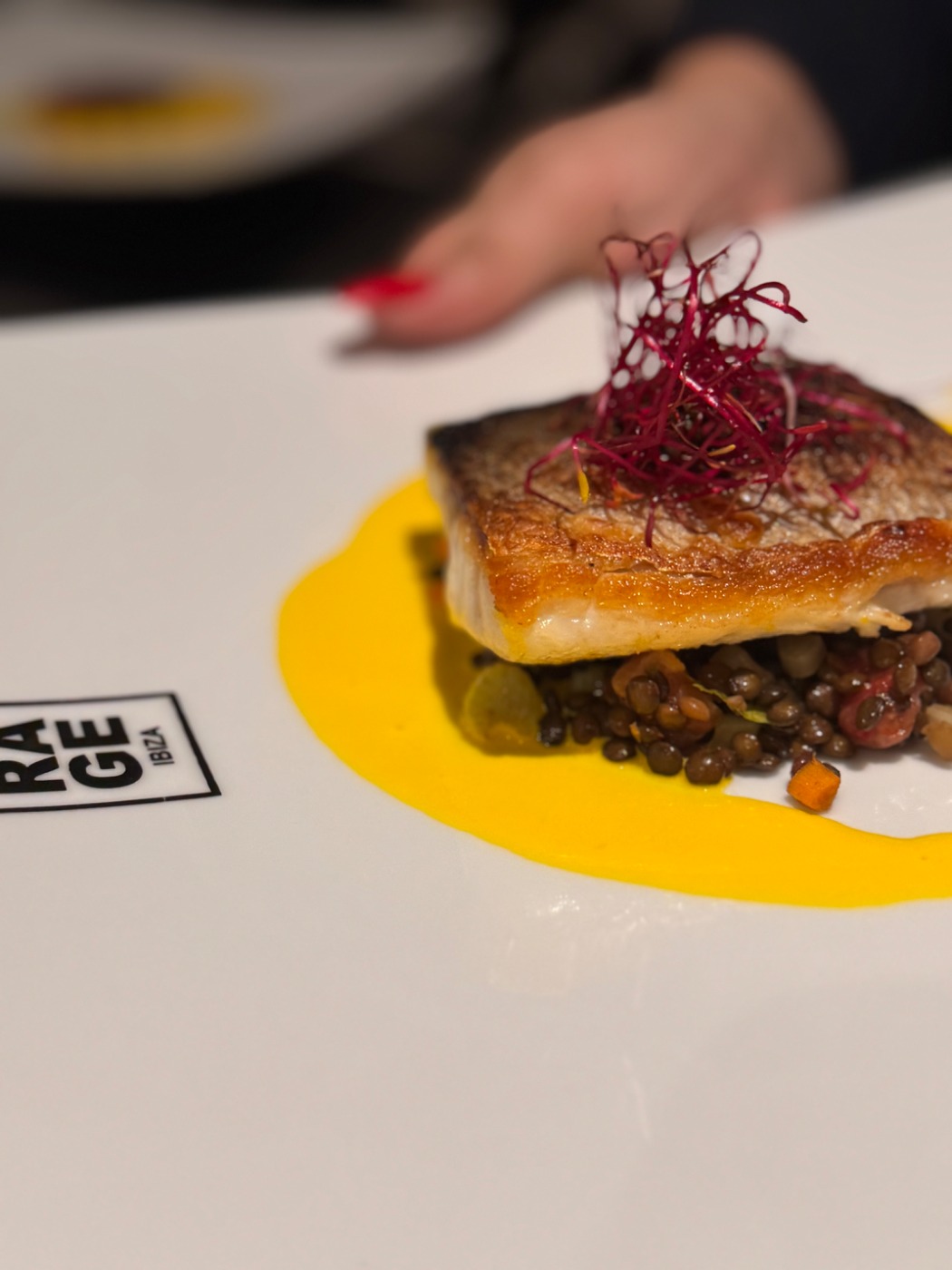 IMG_8471.jpeg IMG_8471.jpeg