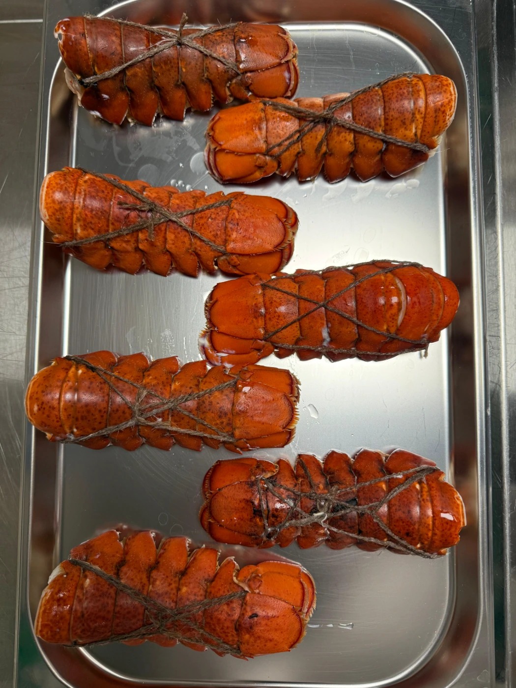 WhatsApp Image 2025-11-26 at 16.13.20 (3).jpeg