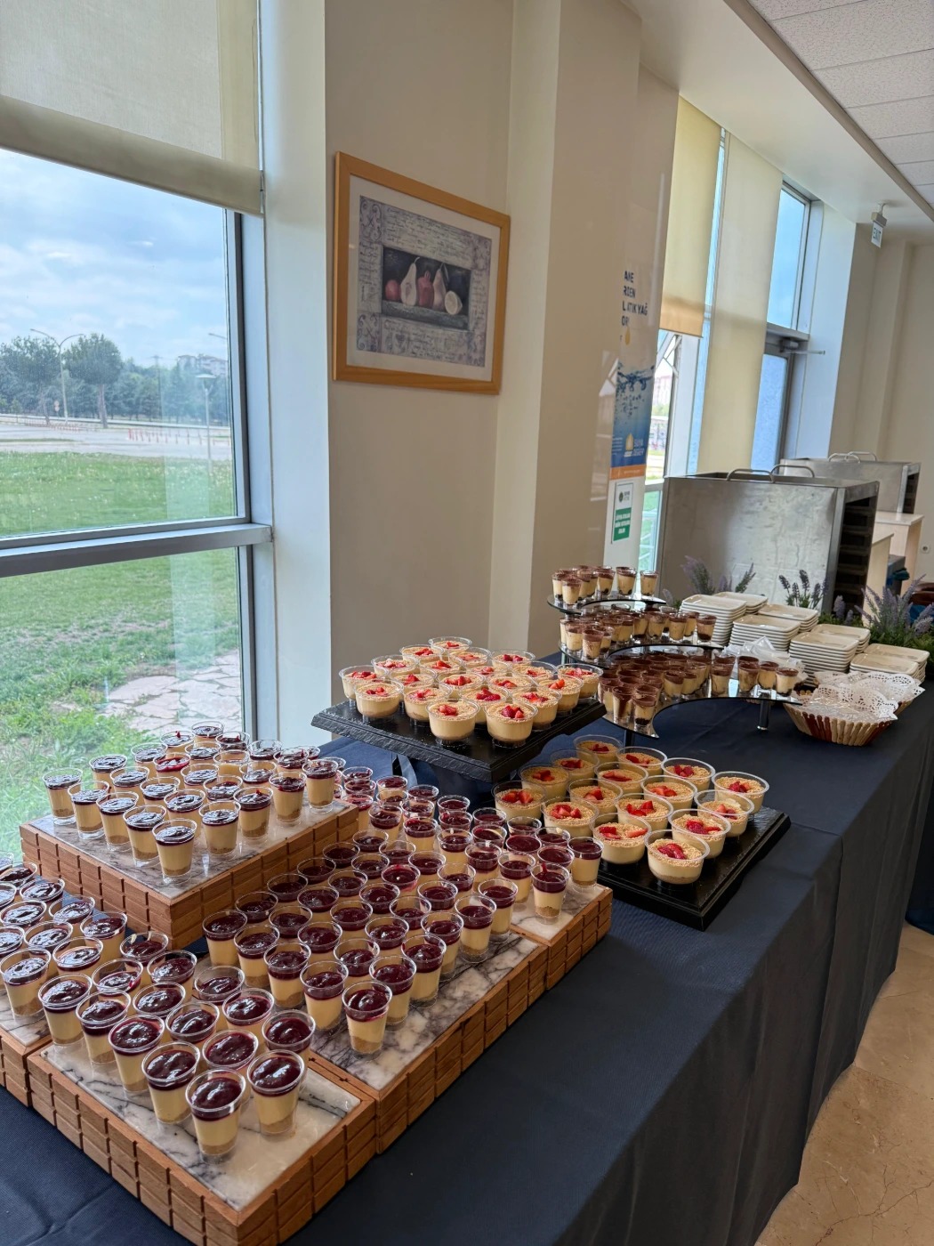 WhatsApp Image 2025-11-26 at 16.13.19.jpeg