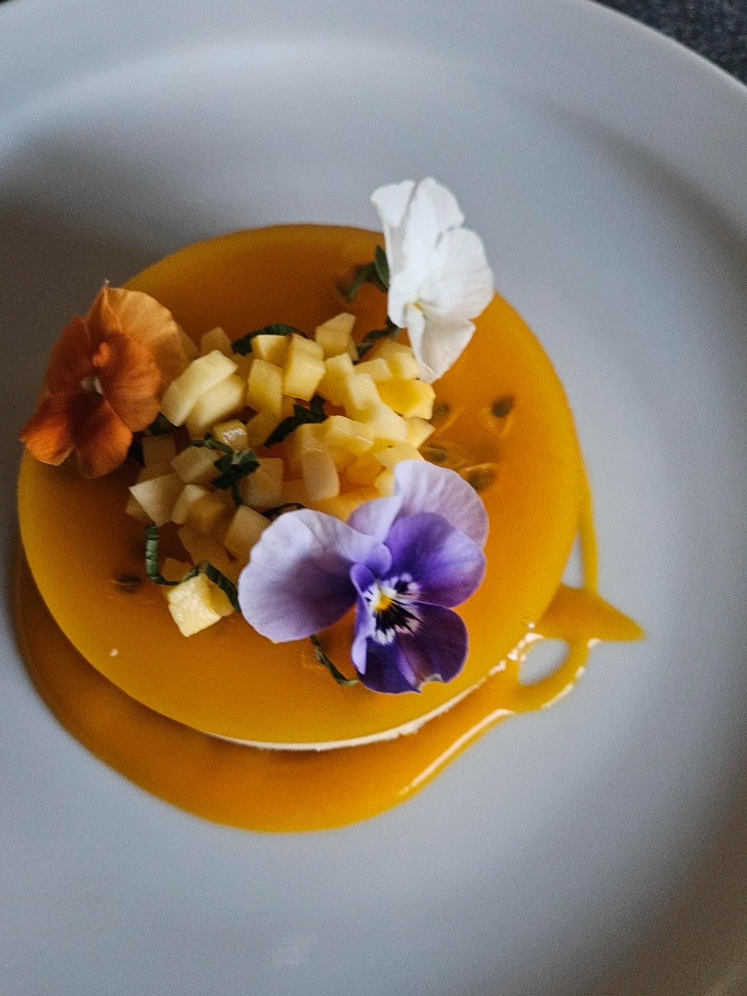 Mango & passionfruit cheesecake1.jpg