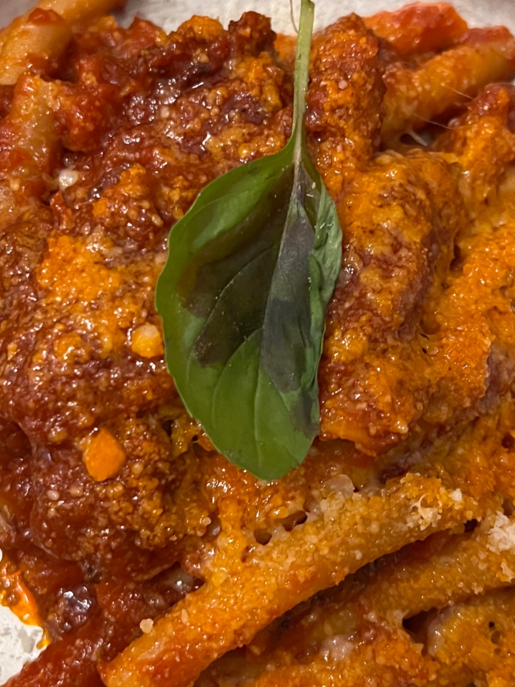 IMG_7703.jpeg IMG_7703.jpeg