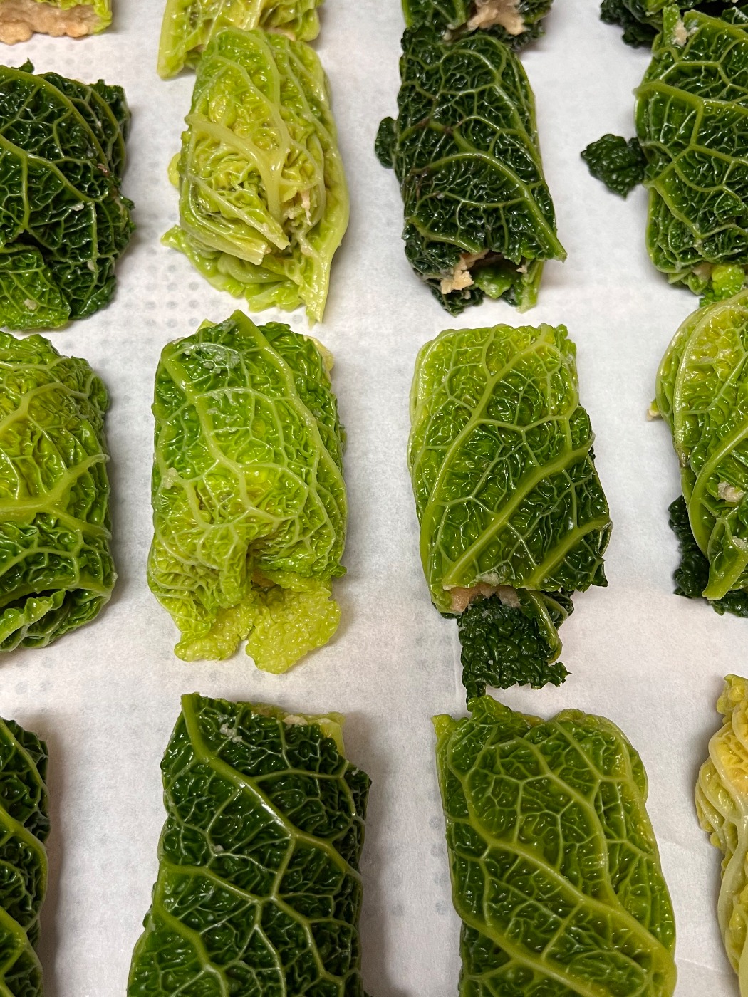 IMG_8852.jpeg IMG_8852.jpeg