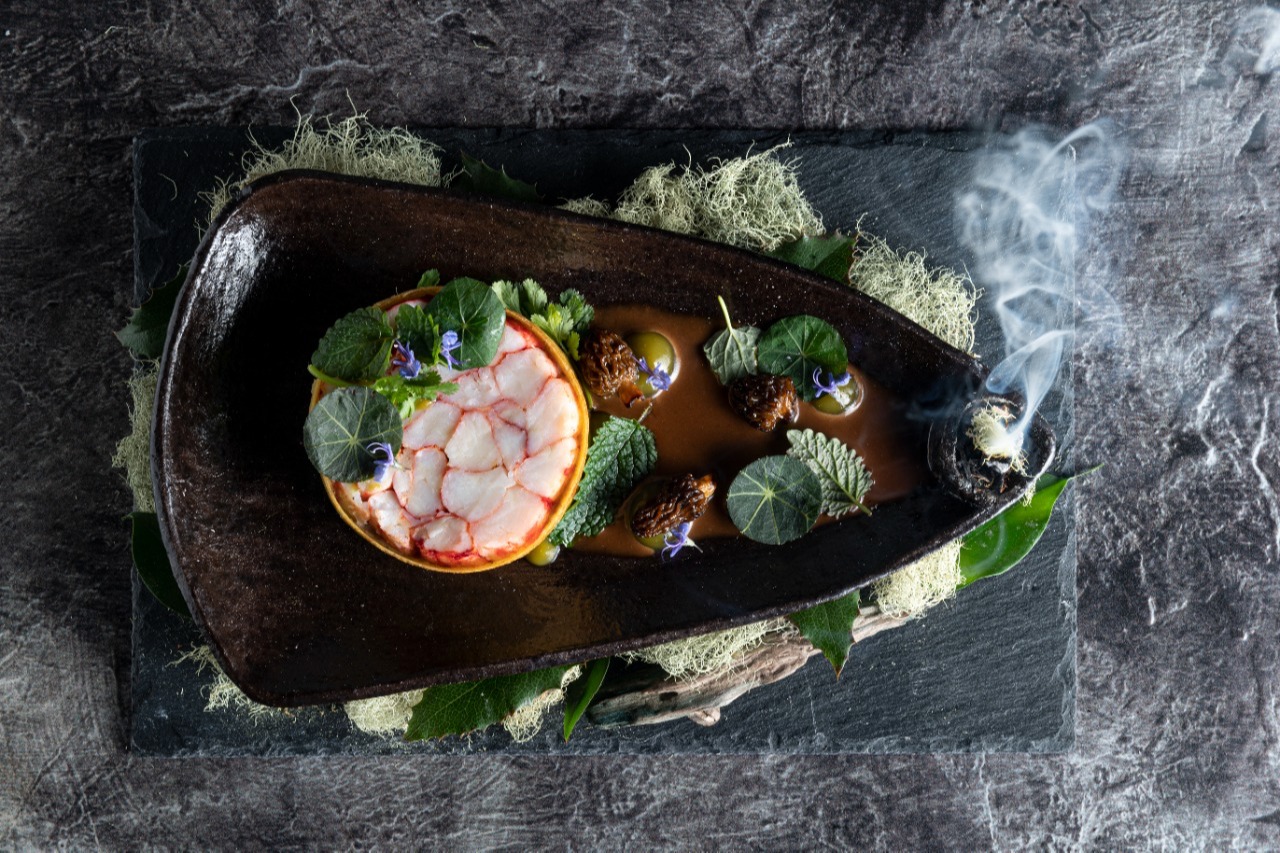 Alma patagonia plato.jpg Alma patagonia plato.jpg