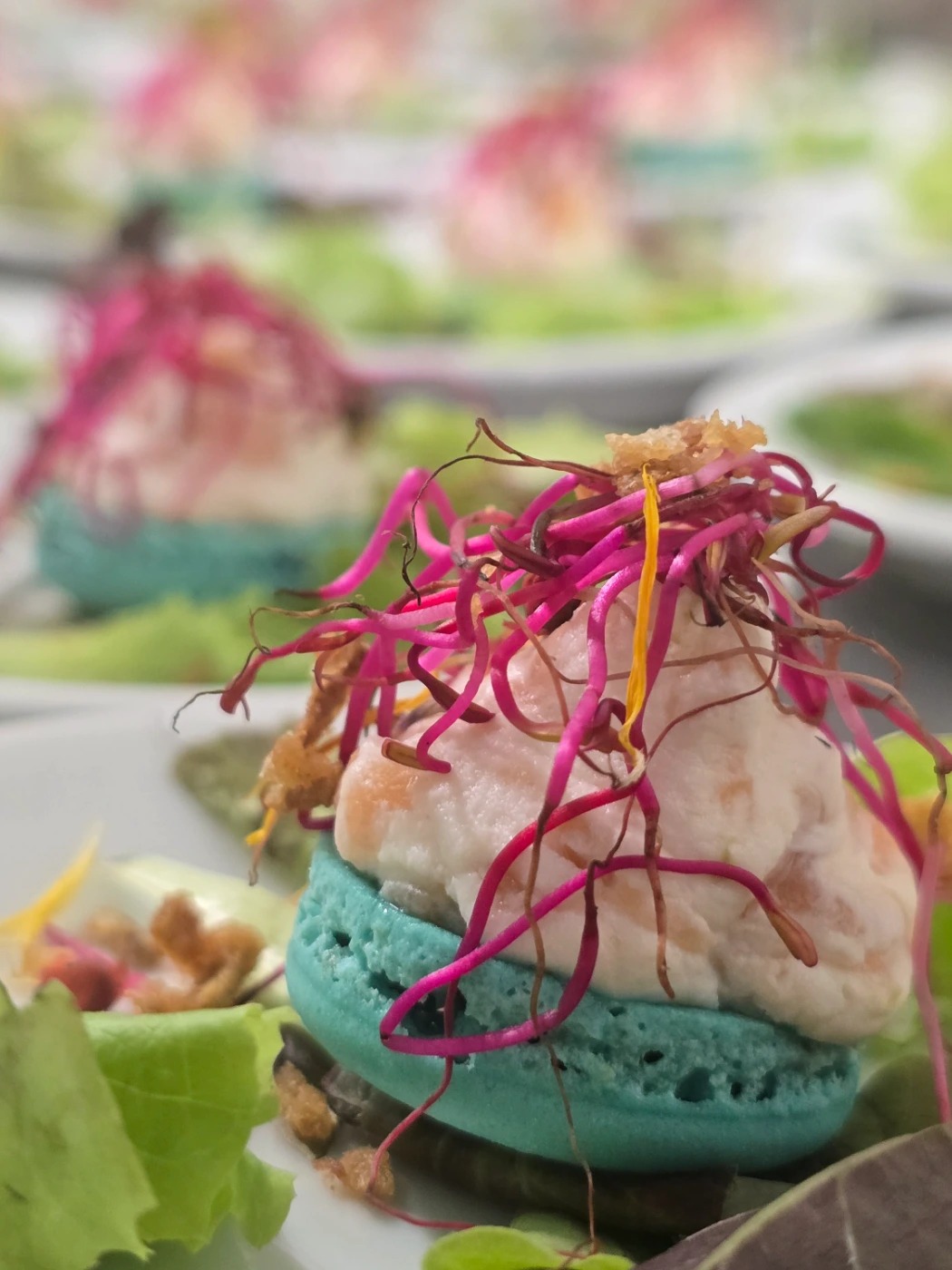 inbound1385082836720676681.jpg inbound1385082836720676681.jpg