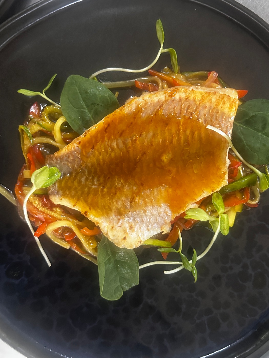 IMG_5086.jpeg IMG_5086.jpeg