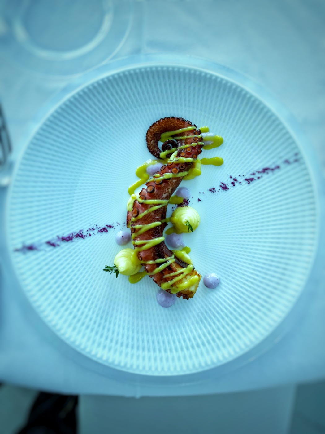 IMG_1256.jpeg IMG_1256.jpeg