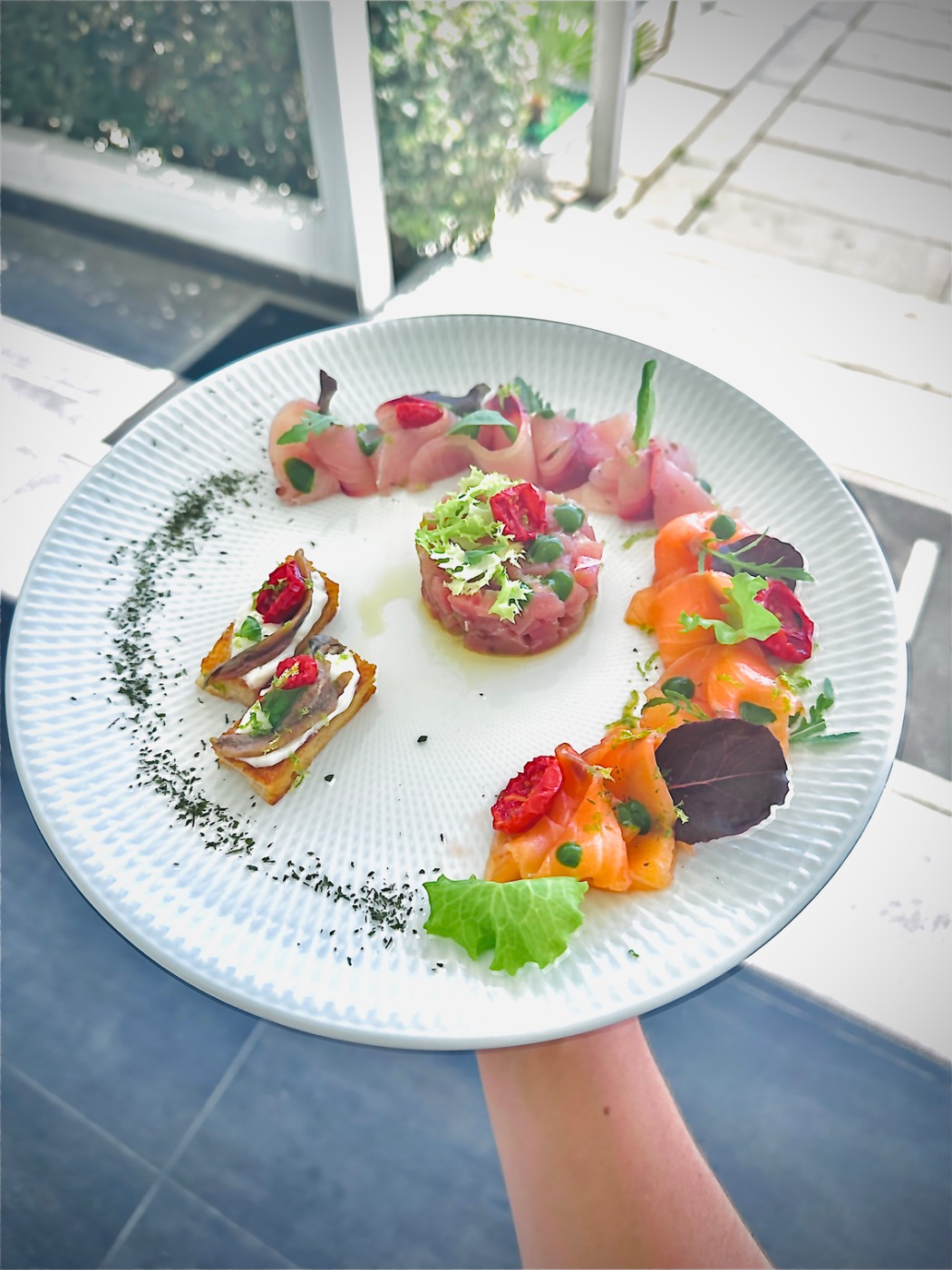 IMG_6070.jpeg IMG_6070.jpeg