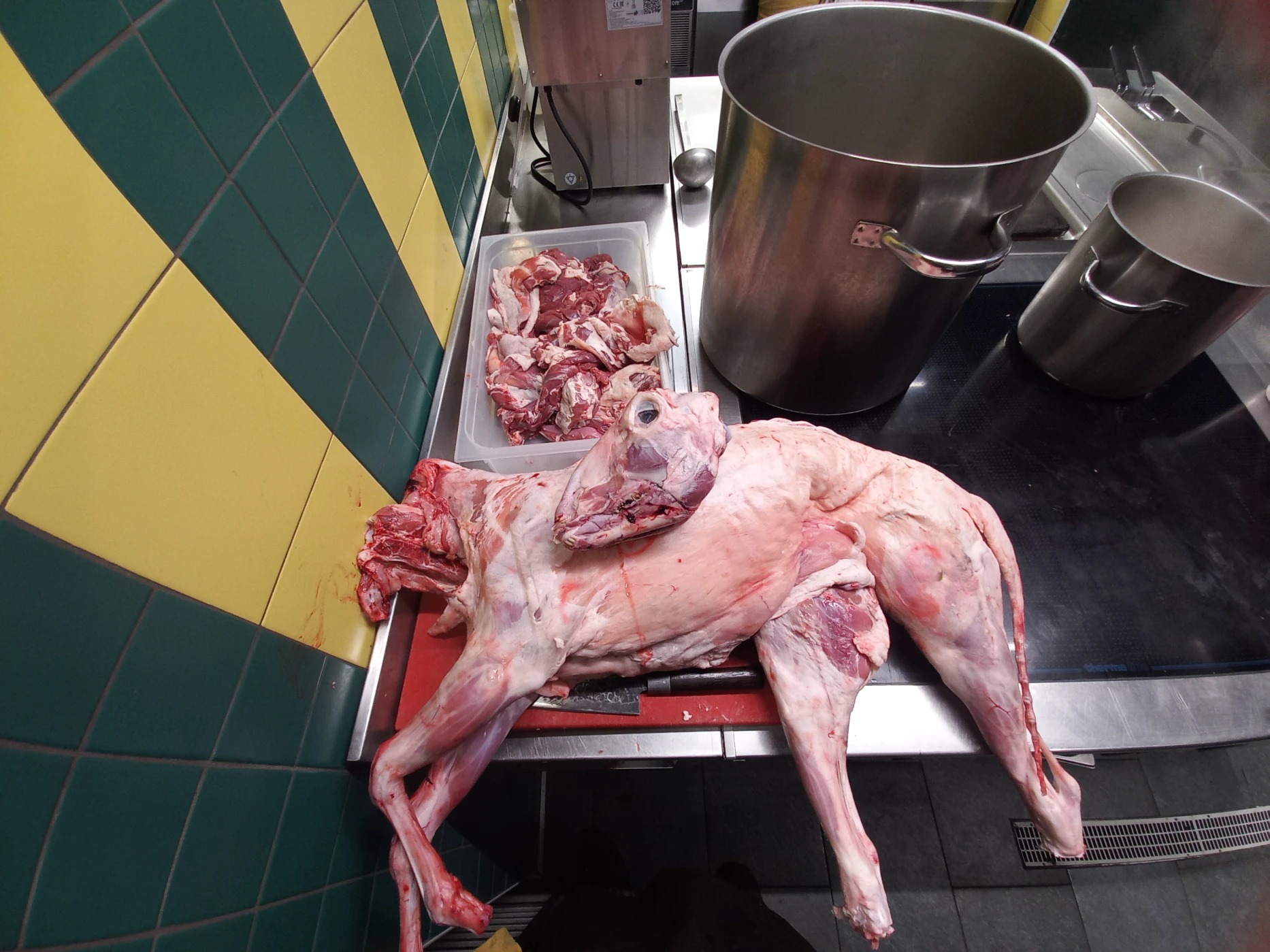 20251120_160123.jpg 20251120_160123.jpg