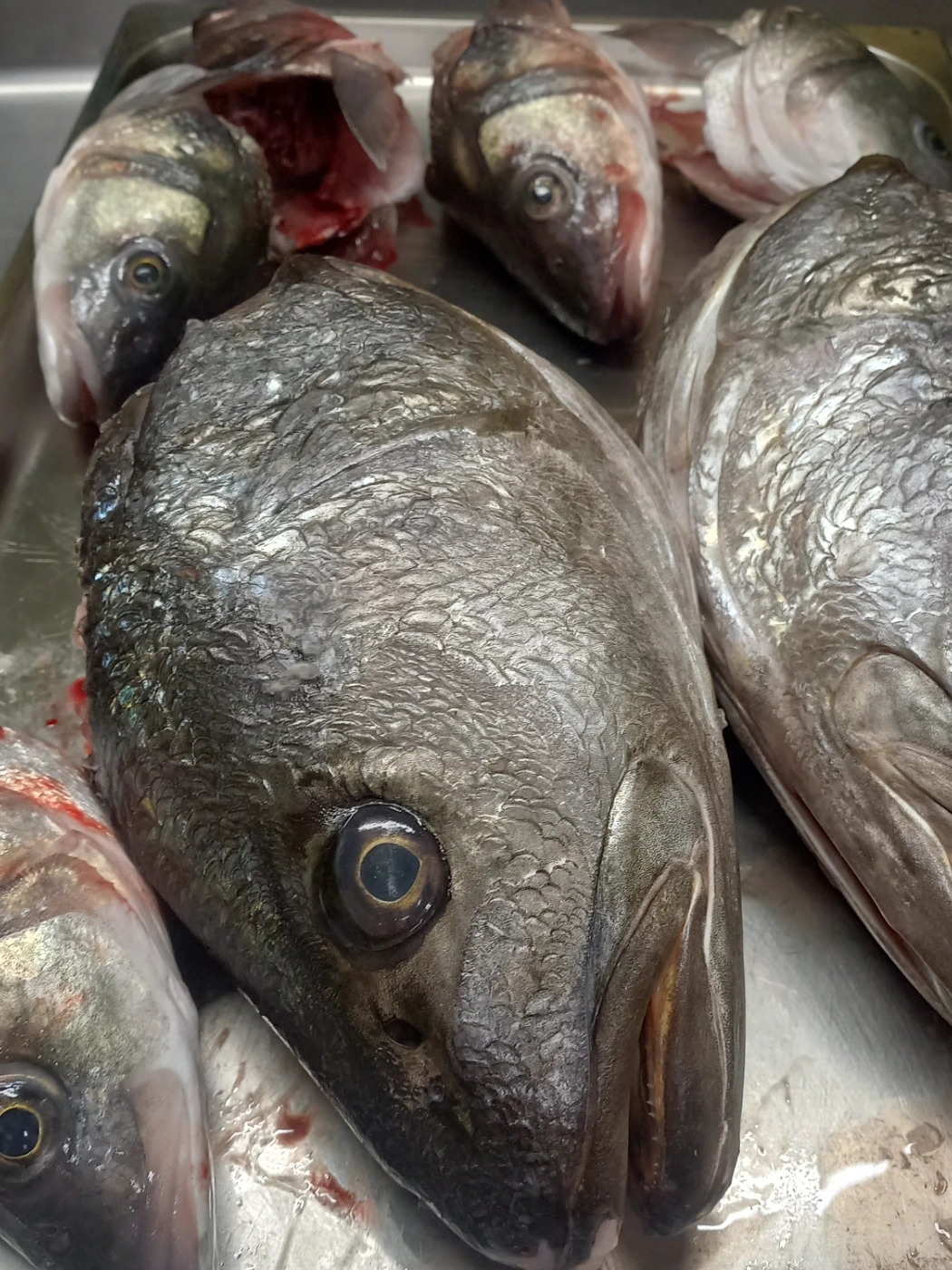 20251113_231241.jpg 20251113_231241.jpg