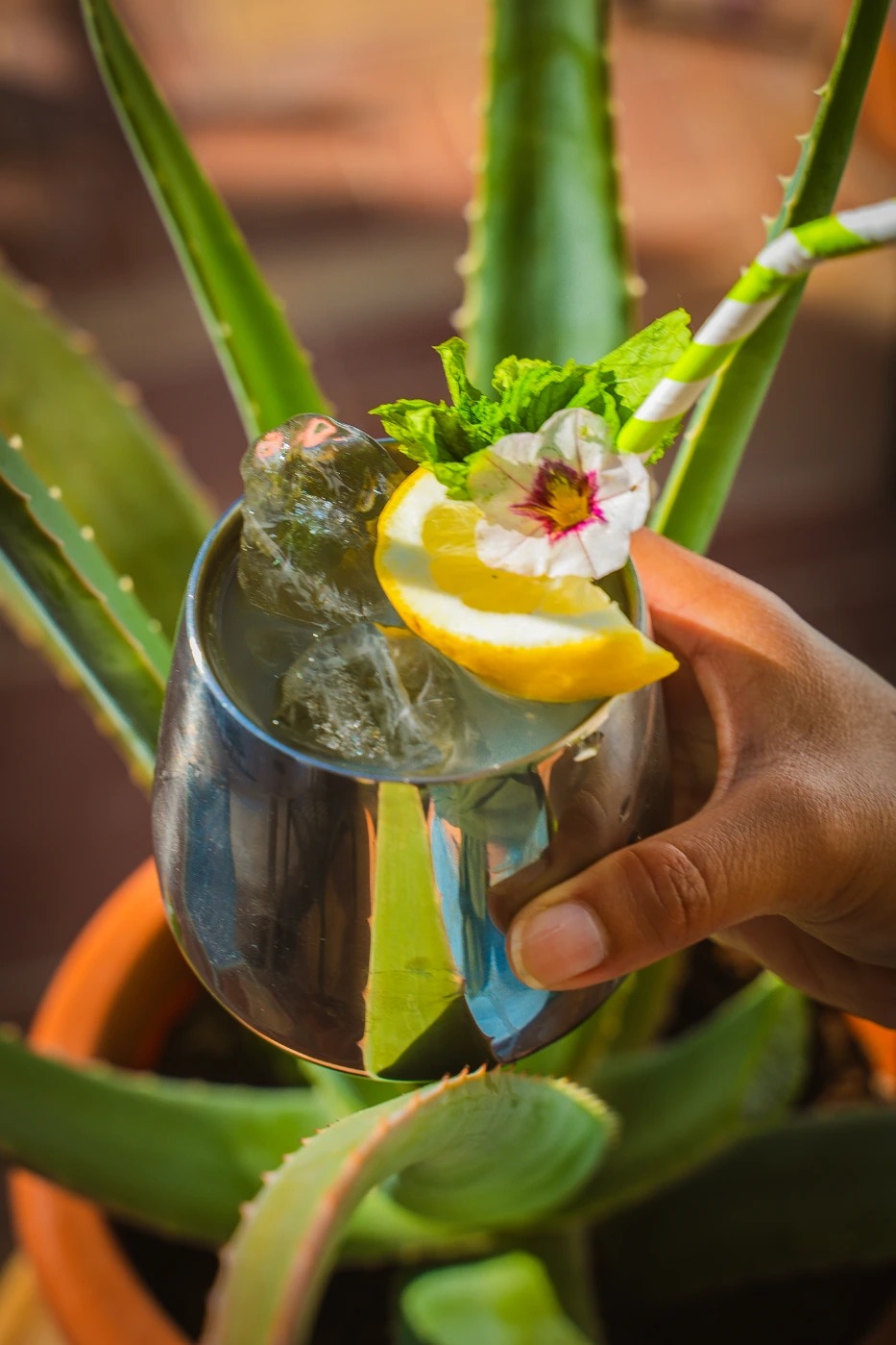 MUH03390.jpg MUH03390.jpg