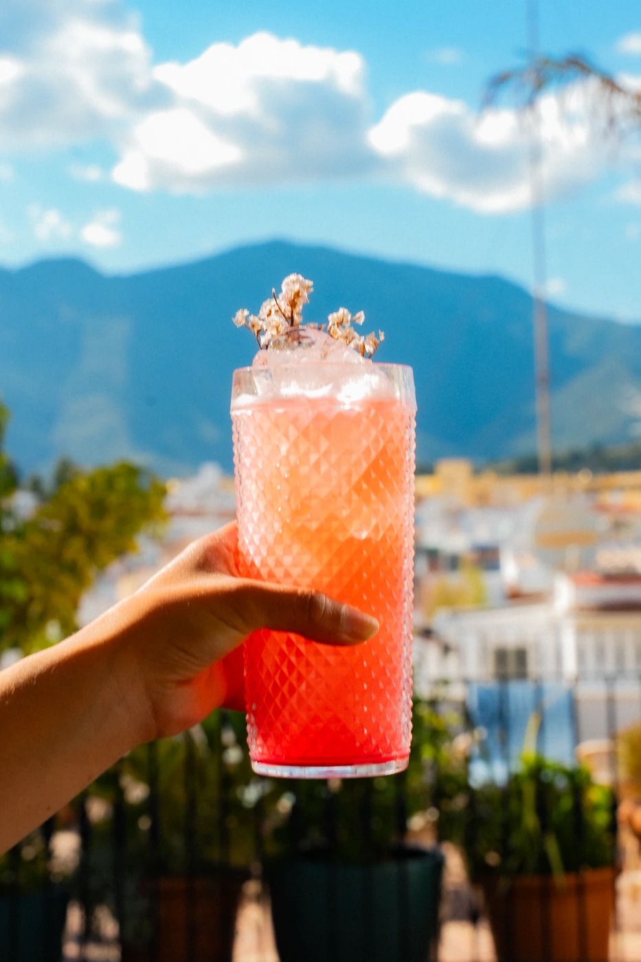 MUH03347.jpg MUH03347.jpg