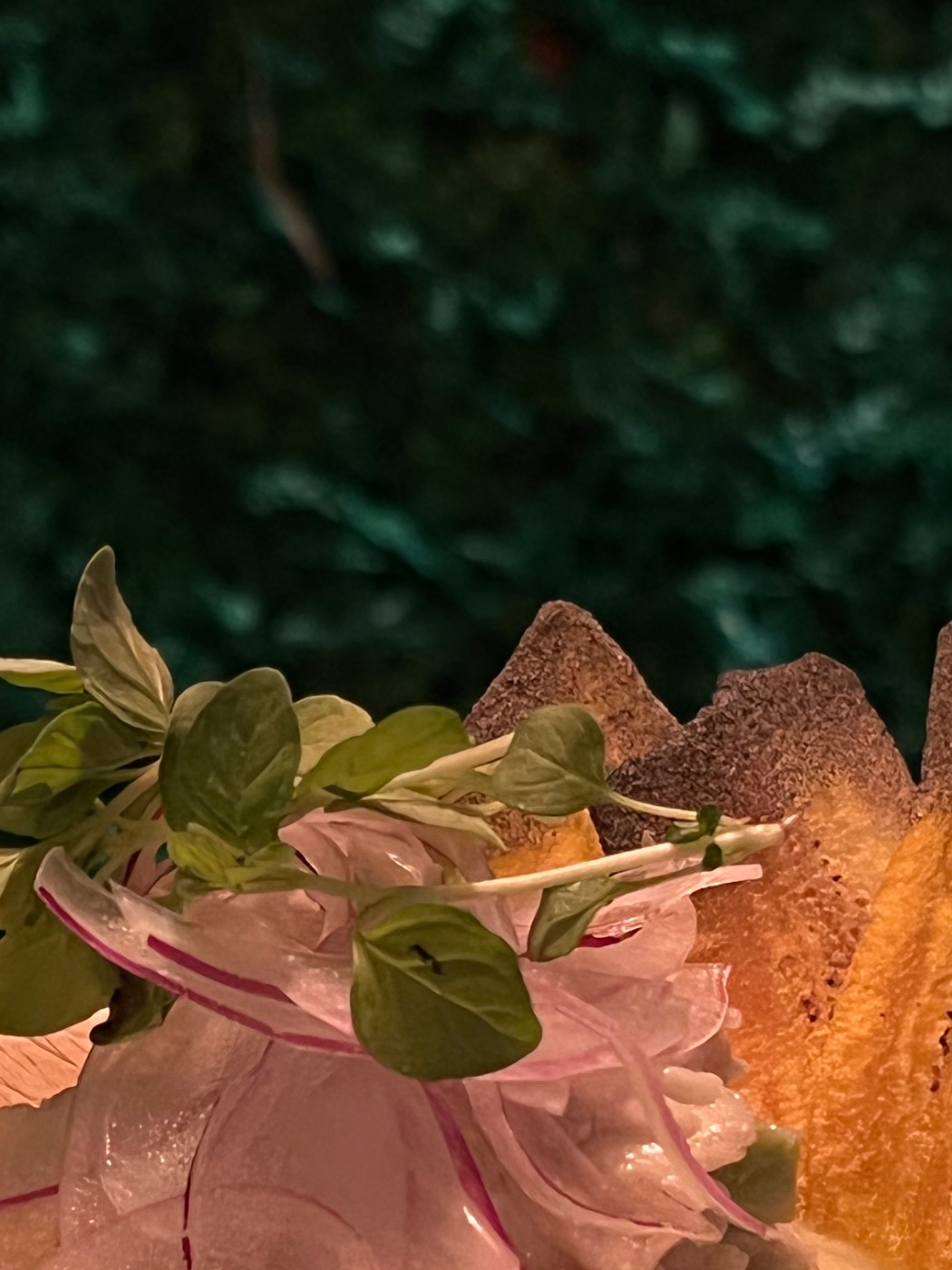 IMG_0783.jpeg IMG_0783.jpeg