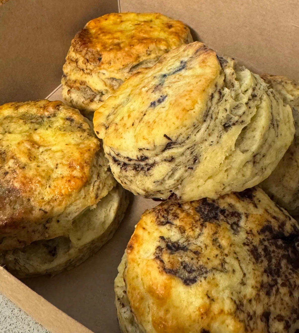 WhatsApp Image 2025-11-28 at 00.57.54.jpeg