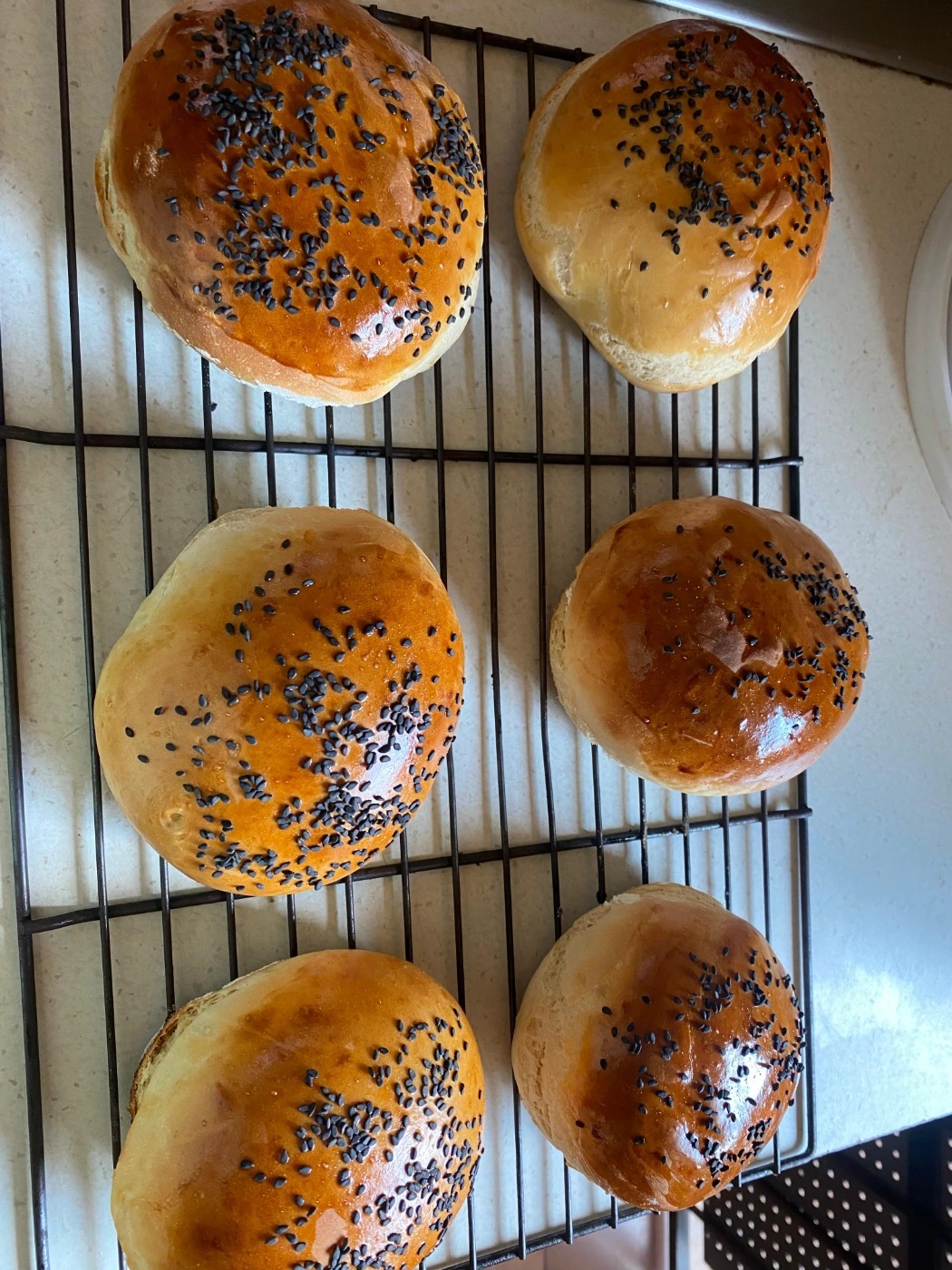 WhatsApp Image 2025-11-28 at 03.53.20_f5bd667b.jpg